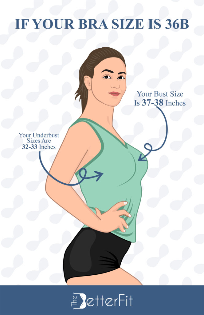 If you have a 36B bra size, your underbust measures around 32-33 inches with a bust size ranging from 37-38 inches