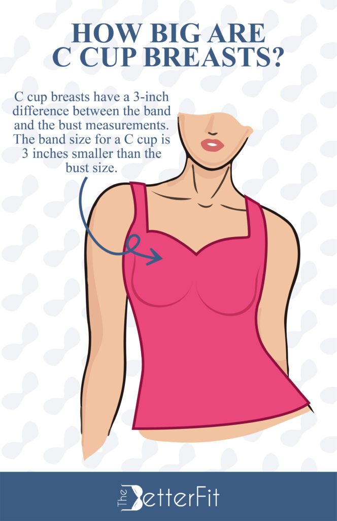 C cup bra sizes have a 3-inch size difference between the band and the bust measurements