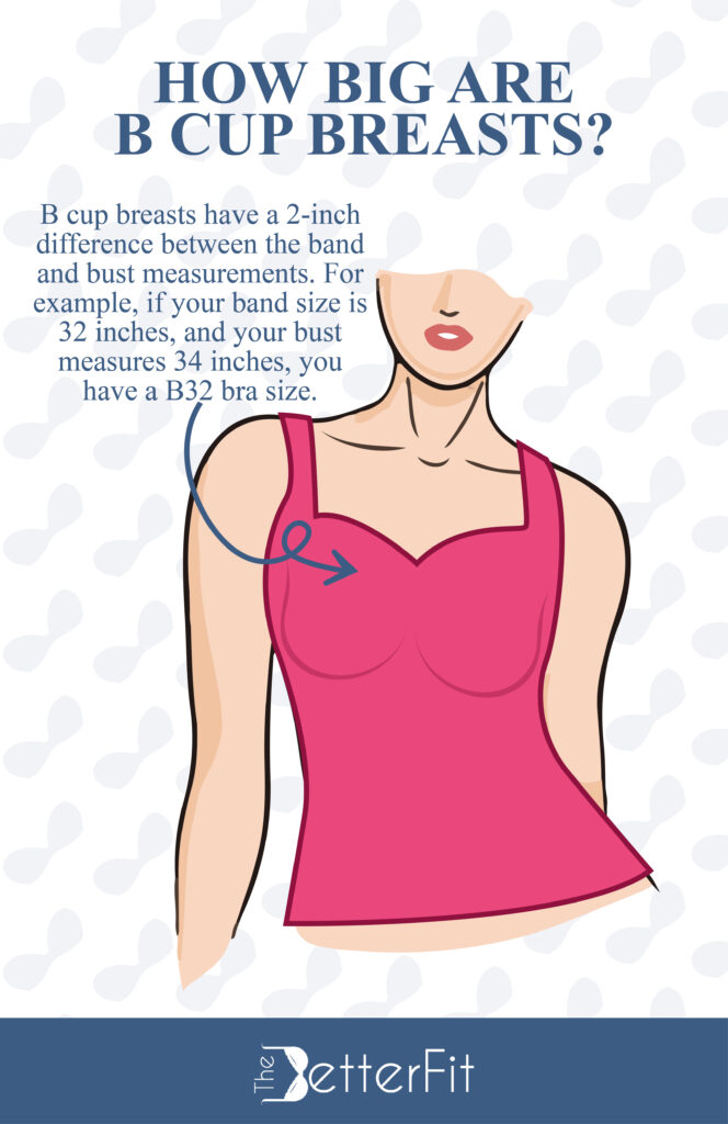B cup bra sizes have a 2-inch size difference between the band and the bust measurements