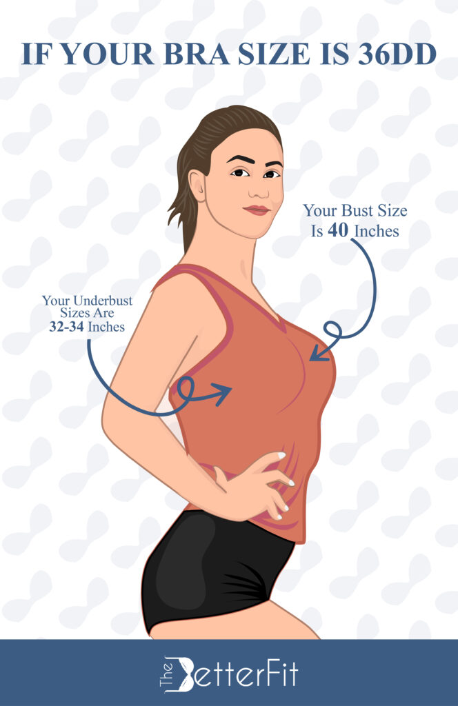 If your bra size is 36DD, your bust size measures around 40 inches with an underbust size ranging from 32-34 inches