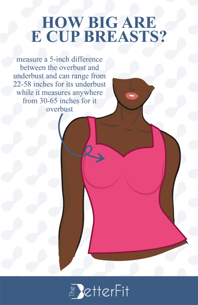 An E cup size measures a 5-inch difference between the overbust and the underbust