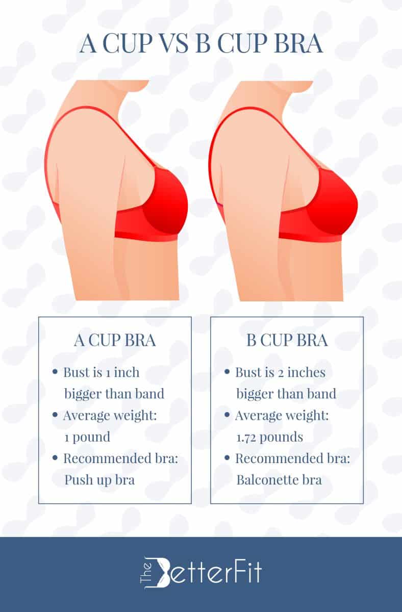 Comparing A cup bras to B cup bras with their key differences with a featured illustration of the upper section of two women wearing red bras in different cup sizes
