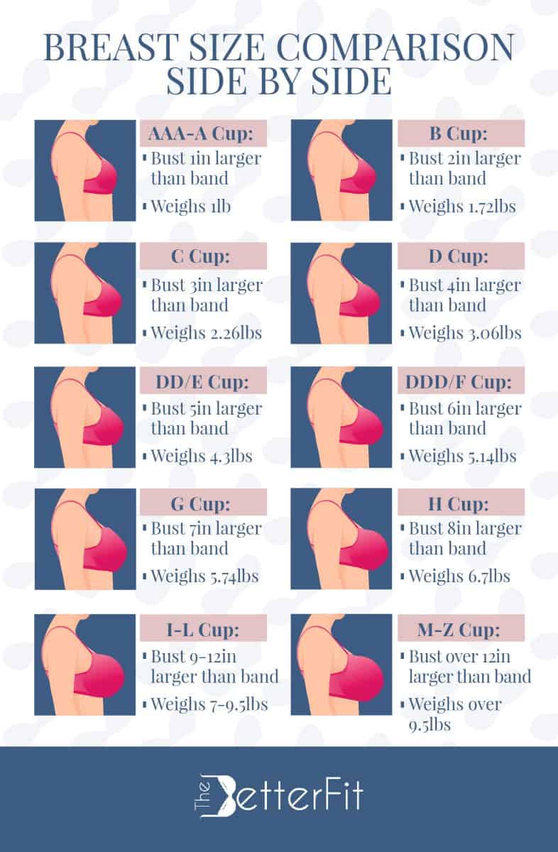 A graphic image that has illustrations of different bra cup sizes ranging from AAA cups to Z cups and their distinctive features