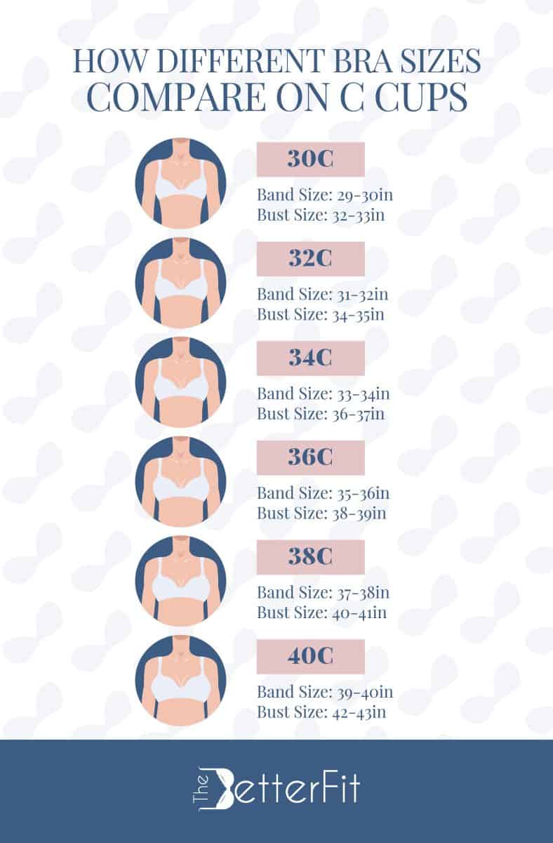 Graphic image that has a series of illustrations that shows the different C cup sizes starting from 30C to 40C bra cup size