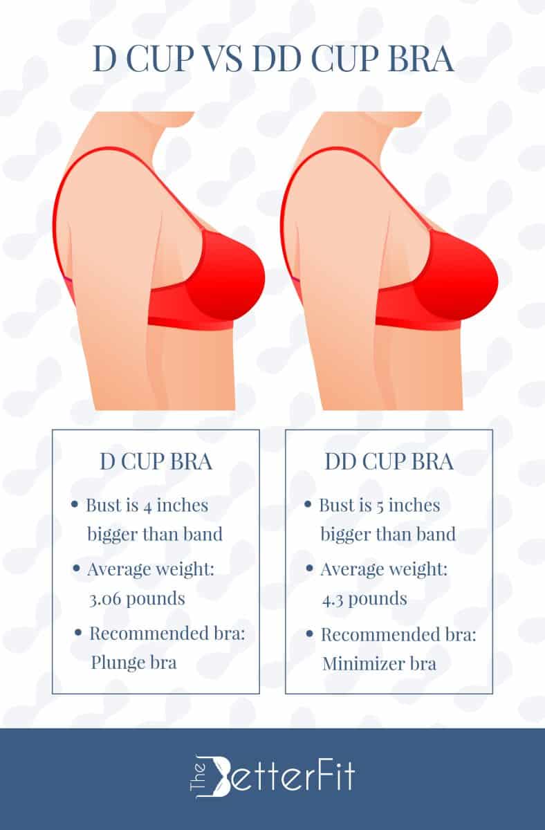Graphic image that features a drawing of two figures wearing a red bra, which compares a D cup bra size against a DD cup bra size
