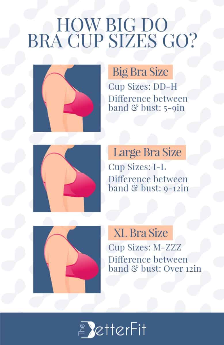 Graphic image that has images depicting how big, large and XL bra sizes can differ from each other