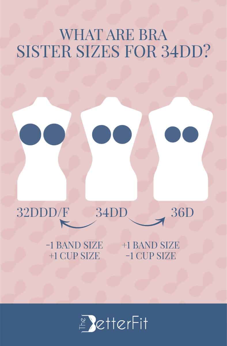 Graphic image that has 3 white dummies which corresponds to 32DDD/F, 34DD, and 36D as the sister sizes of a 34DD cup size