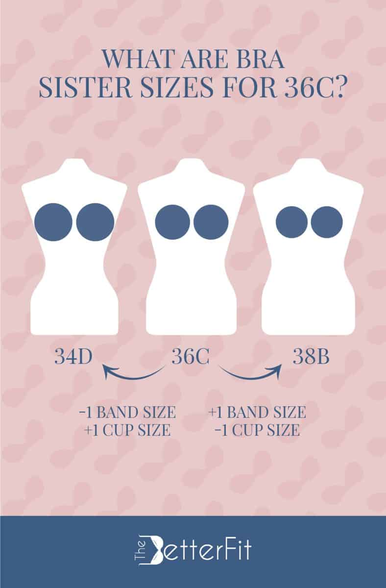 Graphic image that has illustrations of three white dummies representing 34D, 36C and 38B as the sister sizes for a 36C bra size