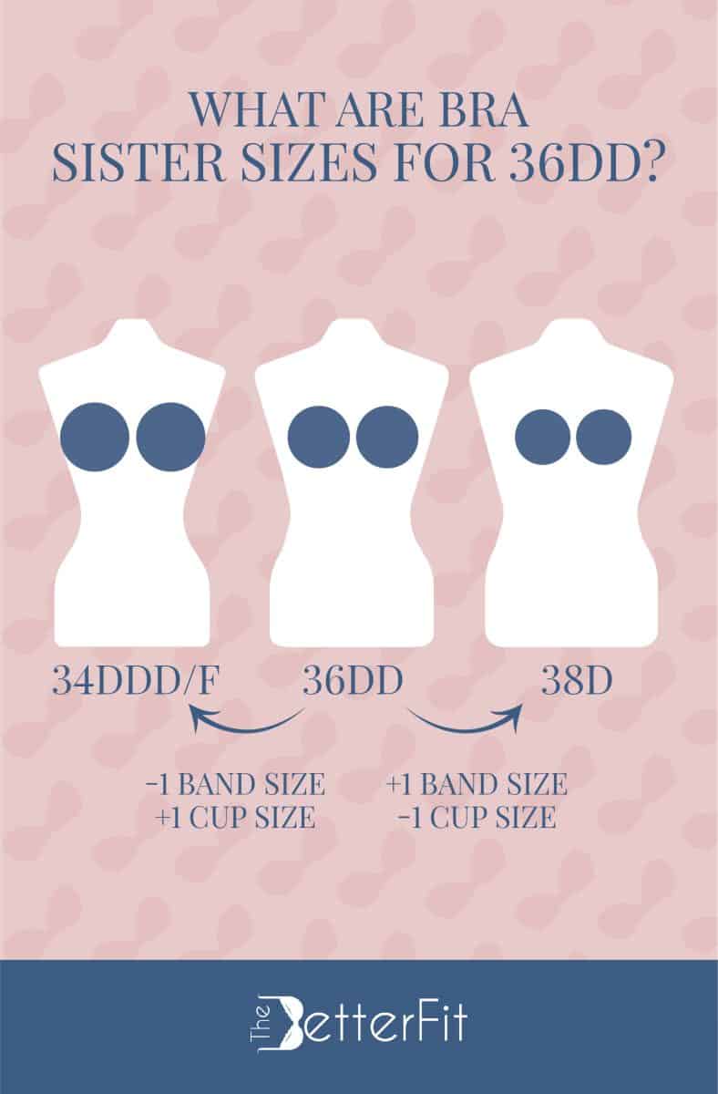 Graphic image that features an illustration of three white body mannequins representing 34DDD/F, 36DD and 38D as the sister sizes for a 36DD cup size