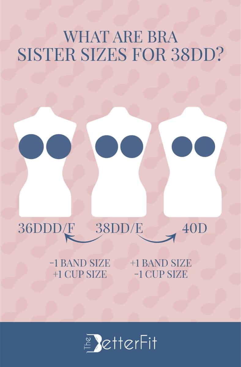 Graphic image that features an illustration of three white body mannequins representing 36DDD/F, 38DD/E and 40D as the sister sizes for a 38DD cup size