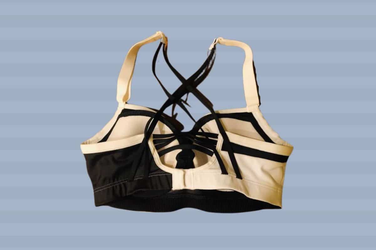 A back view of a black and cream sports bra with hooks placed on blue striped background