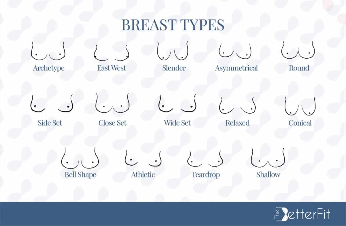 Graphic illustration of various types of breasts and their corresponding names