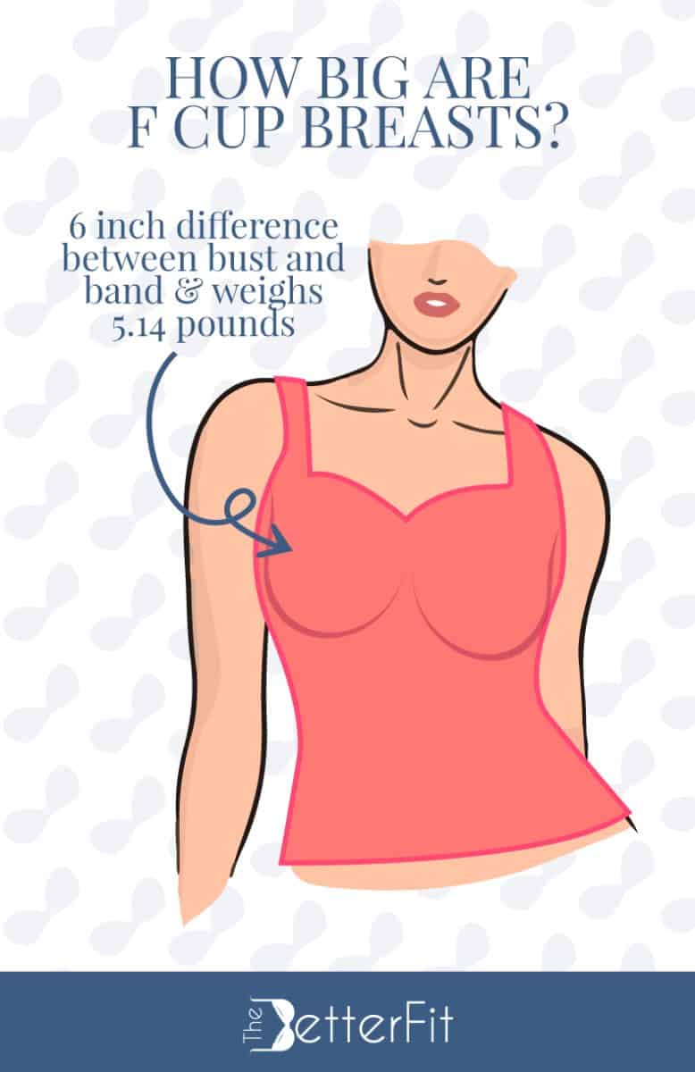 Graphic image of a woman wearing a red top with a text that explains that F cup breasts have a 6-inch difference between bust and band and has an average weight of 5.14 pounds