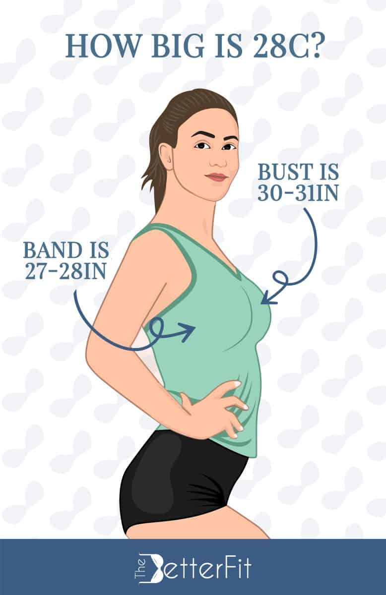 Graphic image of a woman wearing a green tank top and black shorts while the word text around her states that a 28C bra size has a bust size range of 30-31 inches and a band size of 27-28 inches
