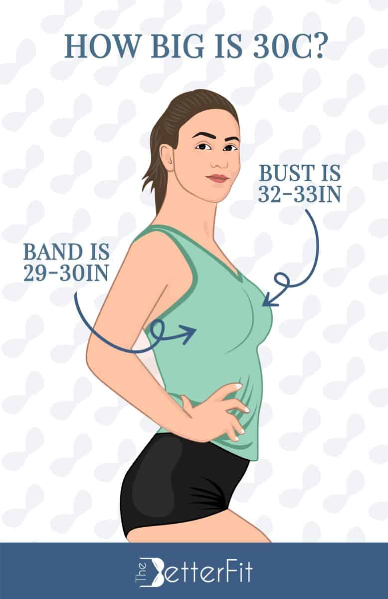 Graphic image of a woman wearing a green tank top and black shorts while the word text around her states that a 30C bra size has a bust size range of 32-33 inches and a band size of 29-30 inches