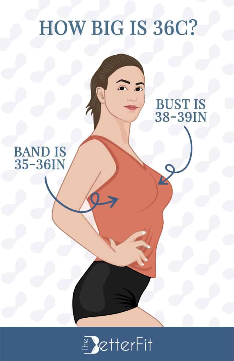 Graphic image of a woman wearing an orange tank top and black shorts with a text explaining that a 36C bra size has a bust size range of 38-39 inches and 35-36 inches band size