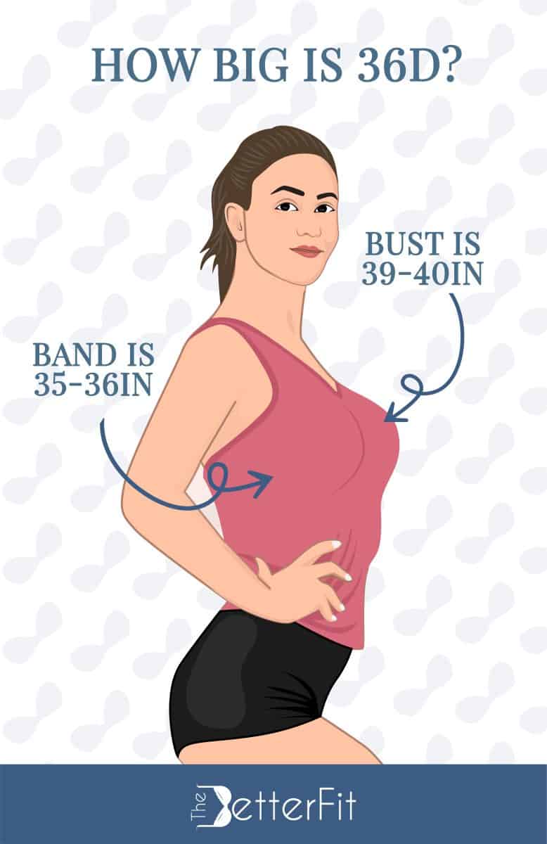 Graphic image of a woman wearing a pink tank top and black shorts with a text explaining that a 36D bra size has a bust size range of 39-40 inches and 35-36 inches band size