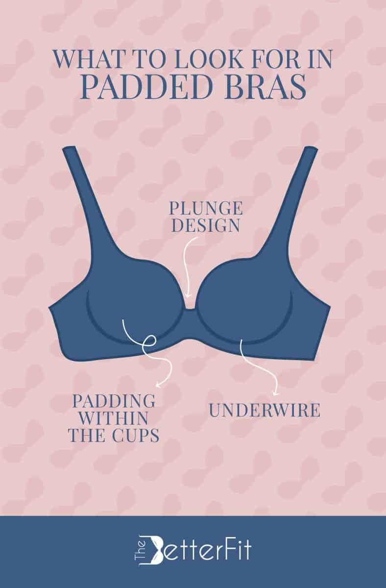 Graphic image of a blue bra that describes how the best padded bras have underwire and padding inside the cups