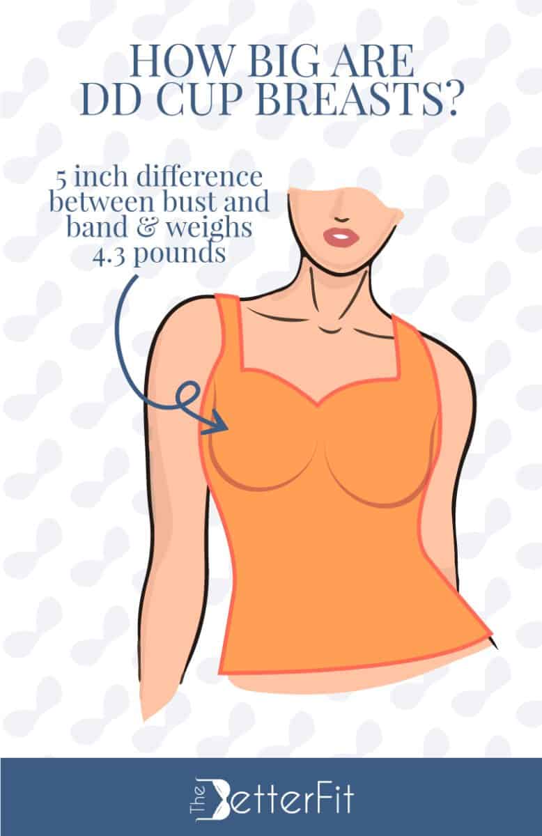 Graphic image of a woman wearing an orange top that explains that DD cup breasts have an average weight of 4.3 pounds