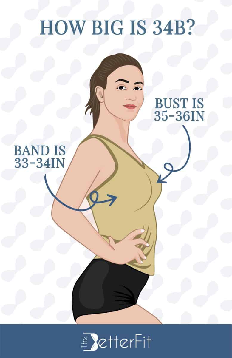 Graphic illustration of a woman wearing an olive green tank top and black shorts with a text explaining that a 34B bra size has a bust size of 35-36 inches and a band size of 33-34 inches