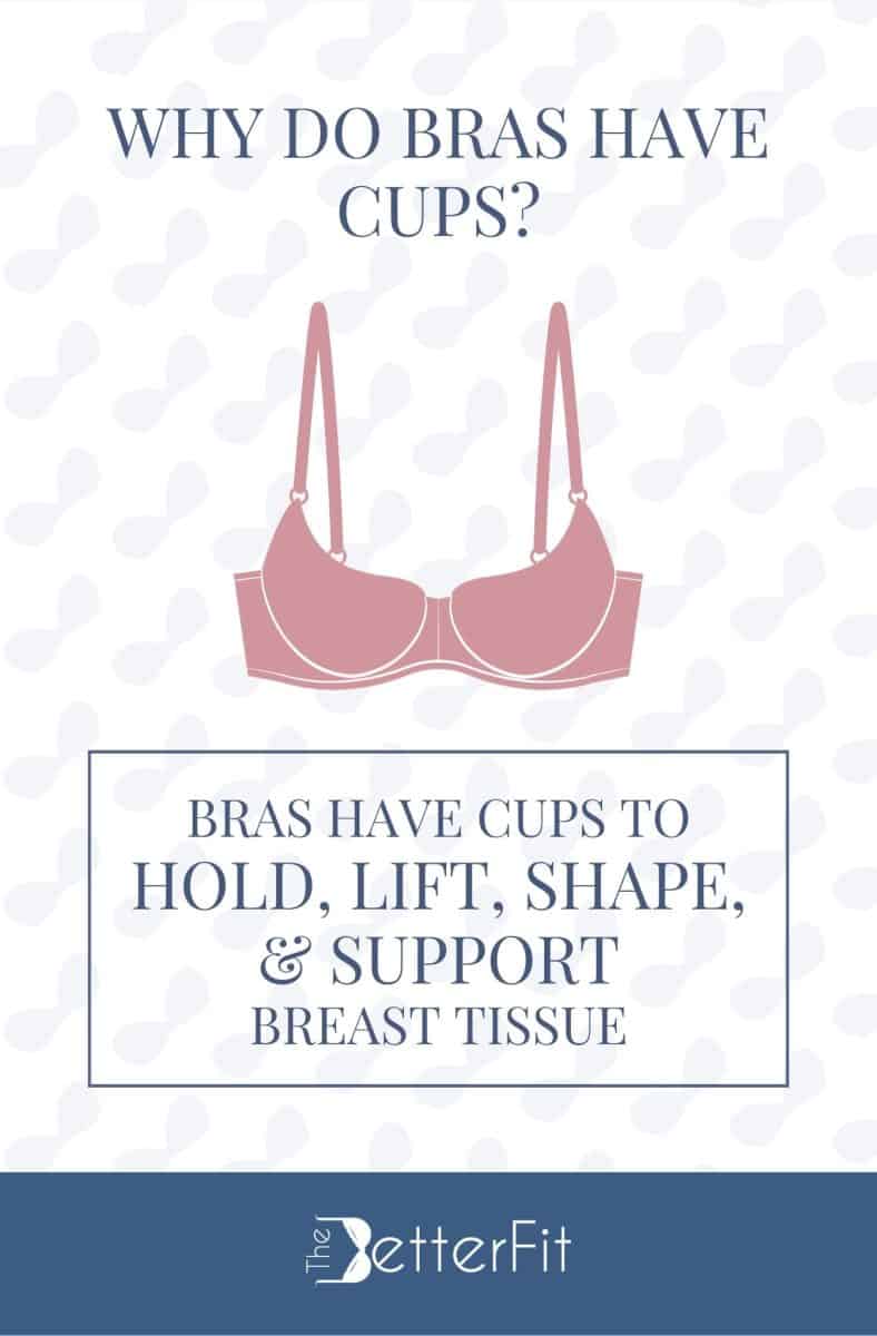 Graphic image of a pink bra that explains that bras have cups to hold and support breast tissues