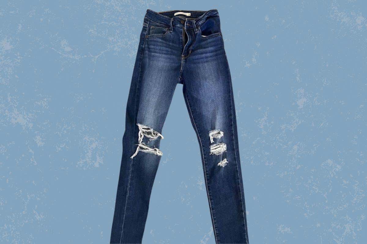 A blue denim tattered jeans placed on a blue background