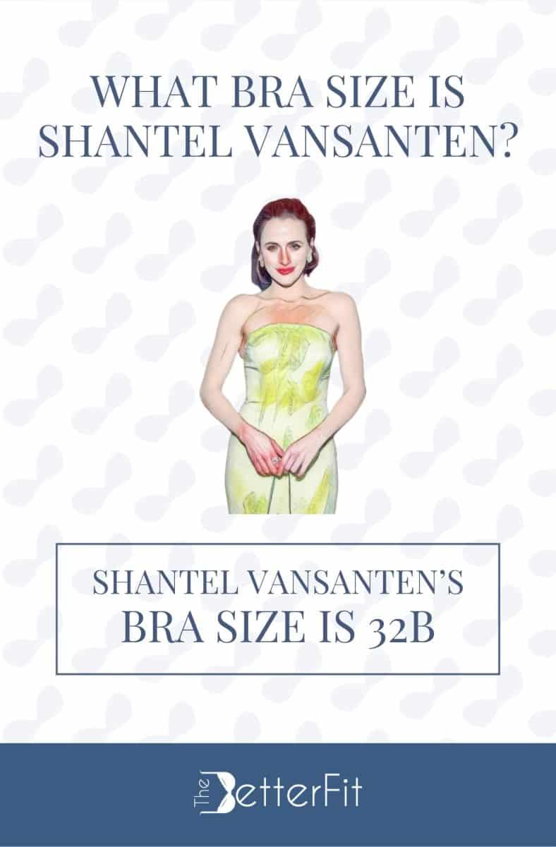 Graphic image of Shantel Vansanten with 32B bra size wearing a tube bodycon dress